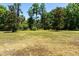 Large, grassy backyard perfect for outdoor activities and relaxation at 16637 Ashton Green Dr, Lutz, FL 33558