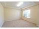 Bright bedroom features neutral carpet, recessed ceiling, and natural light from the window at 16637 Ashton Green Dr, Lutz, FL 33558