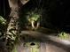 Outdoor brick pathway lush tropical landscaping at night with landscape lighting at 1750 Arabian Ln, Palm Harbor, FL 34685