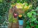 Backyard features a lush, tropical aesthetic with decorative elements and vibrant plants, creating a tranquil and inviting outdoor oasis at 246 22Nd Ne Ave, St Petersburg, FL 33704