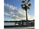 Waterfront view with palm tree and docks, set against a backdrop of cumulus clouds at 246 22Nd Ne Ave, St Petersburg, FL 33704