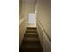 Carpeted staircase with white railings leading up to a window at 3260 Haviland Ct # 202, Palm Harbor, FL 34684