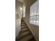 Carpeted stairway features white handrail and natural light at 3260 Haviland Ct # 202, Palm Harbor, FL 34684
