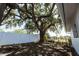 Spacious backyard with a large tree providing ample shade near a white fence at 3530 Umber Rd, Holiday, FL 34691