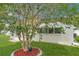 Green backyard with a mature crape myrtle tree and healthy lawn at 3716 Carioca Rd, Holiday, FL 34691