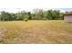 Expansive backyard with mature trees and a wooden fence surrounding the property, providing privacy and a natural setting at 39427 Comstock Ln, Zephyrhills, FL 33540
