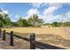 Spacious yard, showcasing a well-kept fence, mature trees, and ample room for outdoor activities at 39427 Comstock Ln, Zephyrhills, FL 33540
