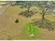 Vast land featuring mature trees, open space, and ample room for various activities at 39427 Comstock Ln, Zephyrhills, FL 33540