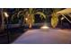 Night shot of the backyard shows the fire pit, landscaping and tiki torches creating a cozy and private backyard at 4872 Silverthorne Ct, Oldsmar, FL 34677