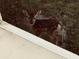 Image capturing a deer in the backyard next to a white corner of a home and green grass at 4872 Silverthorne Ct, Oldsmar, FL 34677