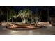 Beautifully landscaped roundabout with mature palm trees, lighting, and manicured plants at night at 4872 Silverthorne Ct, Oldsmar, FL 34677