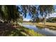 Serene pond view with a lush green golf course, framed by trees and Spanish moss at 4872 Silverthorne Ct, Oldsmar, FL 34677