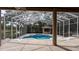 A screened in pool featuring a spa and tiki bar, set against a lush green backdrop at 4872 Silverthorne Ct, Oldsmar, FL 34677