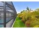 Landscaped backyard with artificial turf bordering a screened pool area, offering a lush and low-maintenance space at 5437 Del Coronado Dr, Apollo Beach, FL 33572