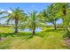 Scenic backyard view with palm trees and tranquil pond at 6104 Cognac Cir, Lutz, FL 33558