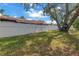 Green backyard featuring a tall shade tree and a white privacy fence at 7242 55Th N Ave, St Petersburg, FL 33709