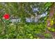 Backyard with beautiful lush foliage, greenery, and a vibrant red hibiscus at 7649 Nottinghill Sky Dr, Apollo Beach, FL 33572