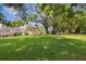 Expansive backyard with lush green lawn and mature trees providing shade and privacy at 1703 Ryan Dr, Lutz, FL 33549