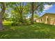 Well-maintained backyard has mature trees and lush landscaping at 1703 Ryan Dr, Lutz, FL 33549