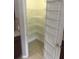 Spacious walk-in pantry with ample shelving for organized storage at 10402 Tulip Field Way, Riverview, FL 33578
