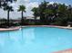An in ground swimming pool surrounded by green palm trees and chairs at 10402 Tulip Field Way, Riverview, FL 33578