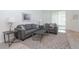 Comfortable living room is furnished with a gray sofa set, rug and lots of lights at 11830 Brighton Knoll Loop, Riverview, FL 33579