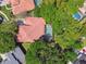 Aerial view of a home with private pool and lush landscaping surrounded by trees at 1940 Floresta View Dr, Tampa, FL 33618