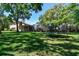 Expansive backyard with a trampoline, surrounded by mature trees and lush greenery at 1940 Floresta View Dr, Tampa, FL 33618