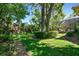 Lush backyard featuring mature trees and landscaping, partially enclosed pool, and ample shade at 1940 Floresta View Dr, Tampa, FL 33618