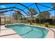 Sparkling screened-in pool with jacuzzi surrounded by a lush landscaped backyard at 19830 Strathmore Pl, Land O Lakes, FL 34638