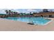 Community pool with a pool deck, lounge chairs, and umbrellas at 19830 Strathmore Pl, Land O Lakes, FL 34638