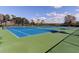 Well-maintained community tennis courts, ideal for sports enthusiasts and active residents at 19830 Strathmore Pl, Land O Lakes, FL 34638