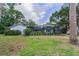 A spacious backyard with green grass and mature trees, providing ample room for outdoor activities and relaxation at 3079 Osprey Ln, Clearwater, FL 33762