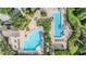 An aerial view of a dazzling community pool and splashpad surrounded by palm trees and lounging areas at 30817 Pumpkin Ridge Dr, Wesley Chapel, FL 33543