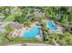 Aerial view of a luxurious community pool area, complete with lounge chairs and palm trees at 30817 Pumpkin Ridge Dr, Wesley Chapel, FL 33543