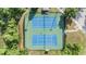 Overhead shot of community tennis courts, with blue courts surrounded by green landscaping and fencing at 30817 Pumpkin Ridge Dr, Wesley Chapel, FL 33543
