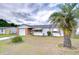 Charming single-story home with a brick facade, one-car garage, and a mature palm tree at 39423 9Th Ave, Zephyrhills, FL 33542