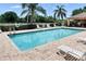 Community pool with several lounge chairs and palm trees at 925 Windton Oak Dr, Ruskin, FL 33570
