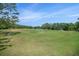 A soccer field with multiple goals is surrounded by green grass and trees at 9401 Willow Cove Ct, Tampa, FL 33647
