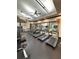 A community gym features treadmills and other weight-training machines at 11489 Bitola Dr, Odessa, FL 33556