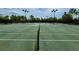 Well-maintained tennis courts with lighting, surrounded by lush greenery, perfect for recreational play at 11489 Bitola Dr, Odessa, FL 33556