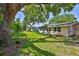 View of the spacious backyard with lush green grass, mature trees, and a well-maintained lawn at 1500 Robinson N Dr, St Petersburg, FL 33710