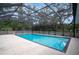 A screened-in pool with clear water provides a refreshing oasis amidst a natural backyard setting at 18546 Kelly Rd, Spring Hill, FL 34610