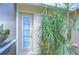 Back door with decorative glass windows and tropical landscaping, enhancing curb appeal at 2117 Laindale Pl, Valrico, FL 33596