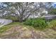 Spacious backyard featuring mature trees, lush landscaping, and a partial view of the screened-in pool area at 2117 Laindale Pl, Valrico, FL 33596