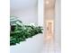 Bright hallway with white tile floors, lush green indoor plants, and access to a bathroom with a glass shower door at 2117 Laindale Pl, Valrico, FL 33596