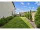 Spacious backyard featuring a well-maintained lawn and neatly trimmed greenery at 29895 Picana Ln, Wesley Chapel, FL 33543