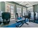 Bright gym with multiple weight machines and large windows overlooking the community at 29895 Picana Ln, Wesley Chapel, FL 33543