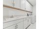 Well-lit laundry room featuring a large sink, lots of cabinets and a modern washing machine at 29895 Picana Ln, Wesley Chapel, FL 33543