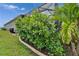Landscaped backyard with mature green hedge, tropical plants, and view of the screened in lanai at 3603 Woodmont Dr, Parrish, FL 34219